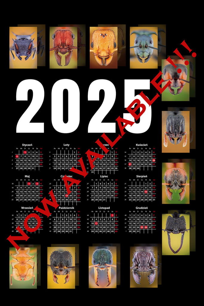 calendar 2025